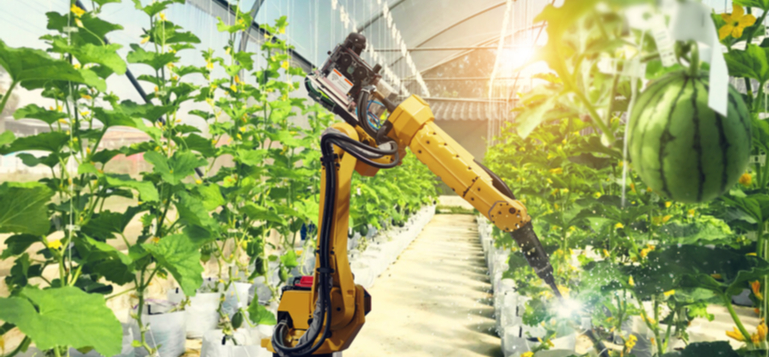 artificial intelligence pollinate fruits vegetables robot