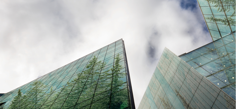 glass building reflecting trees