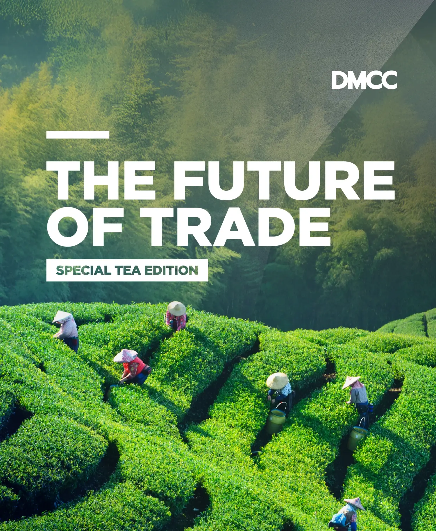 img_fot_report_listing_tea (1)